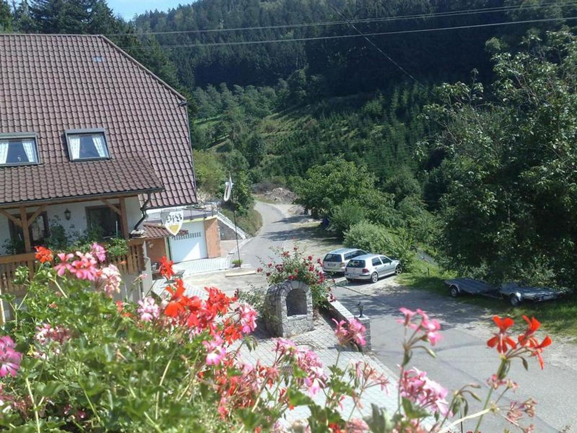 Ferienwohnung Schneckenhus Lautenbach Екстер'єр фото