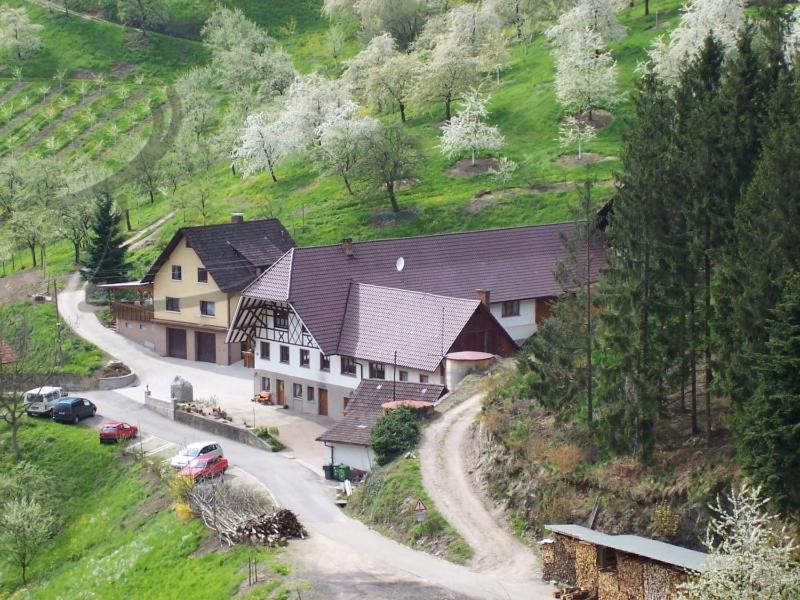 Ferienwohnung Schneckenhus Lautenbach Екстер'єр фото