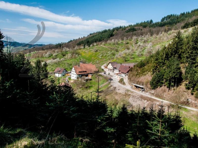 Ferienwohnung Schneckenhus Lautenbach Екстер'єр фото