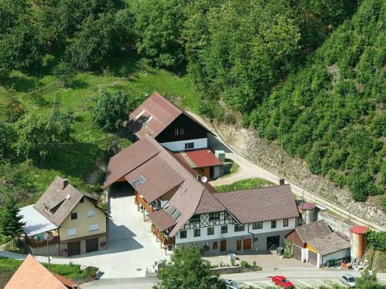 Ferienwohnung Schneckenhus Lautenbach Екстер'єр фото