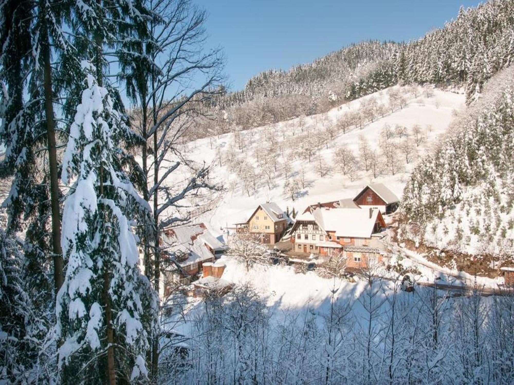 Ferienwohnung Schneckenhus Lautenbach Екстер'єр фото