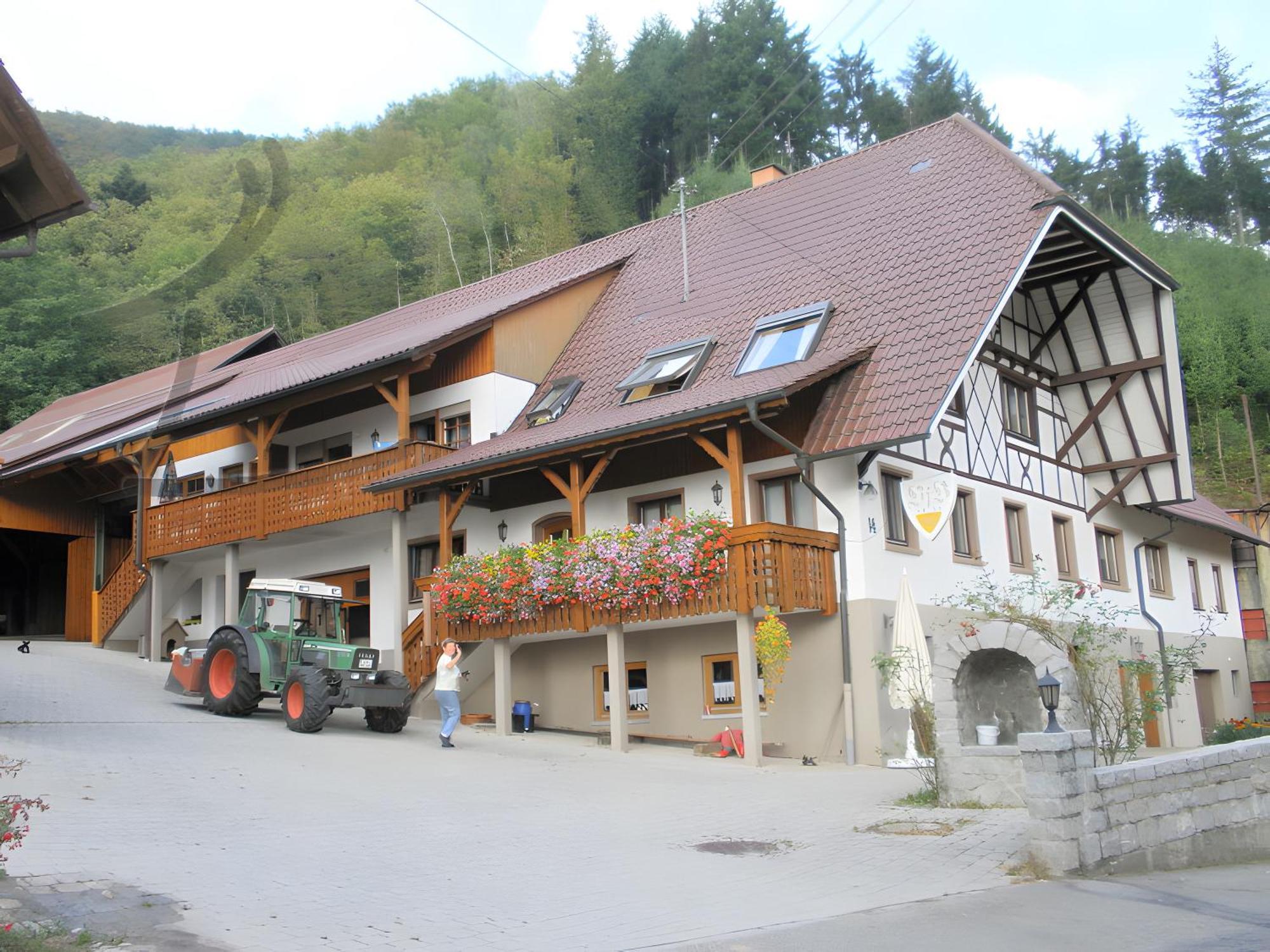 Ferienwohnung Schneckenhus Lautenbach Екстер'єр фото